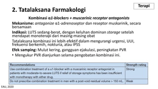 Kombinasi α1-blockers + muscarinic receptor antagonists
Mekanisme: antagonize α1-adrenoseptor dan reseptor muskarinik, secara
bersamaan
Indikasi: LUTS sedang-berat, dengan keluhan dominan storage setelah
mendapat monoterapi dari masing-masing obat
Tatalaksana kombinasi ini lebih efektif dalam mengurangi urgensi, UUI,
frekuensi berkemih, nokturia, atau IPSS
Efek samping: Mulut kering, gangguan ejakulasi, peningkatan PVR
• Mengukur PVR dianjurkan selama pengobatan kombinasi ini.
2. Tatalaksana Farmakologi
Terapi
EAU, 2020
 