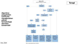 Algoritma
pengobatan
LUTS pria
menggunakan
pilihan
farmakologis
dan/atau
konservatif
Terapi
EAU, 2020
 