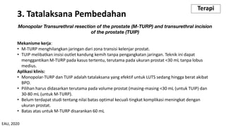 Monopolar Transurethral resection of the prostate (M-TURP) and transurethral incision
of the prostate (TUIP)
Mekanisme kerja:
• M-TURP menghilangkan jaringan dari zona transisi kelenjar prostat.
• TUIP melibatkan insisi outlet kandung kemih tanpa pengangkatan jaringan. Teknik ini dapat
menggantikan M-TURP pada kasus tertentu, terutama pada ukuran prostat <30 mL tanpa lobus
medius.
Aplikasi klinis:
• Monopolar-TURP dan TUIP adalah tatalaksana yang efektif untuk LUTS sedang hingga berat akibat
BPO.
• Pilihan harus didasarkan terutama pada volume prostat (masing-masing <30 mL (untuk TUIP) dan
30-80 mL (untuk M-TURP).
• Belum terdapat studi tentang nilai batas optimal kecuali tingkat komplikasi meningkat dengan
ukuran prostat.
• Batas atas untuk M-TURP disarankan 60 mL
3. Tatalaksana Pembedahan
Terapi
EAU, 2020
 