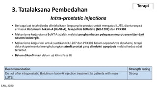 Intra-prostatic injections
• Berbagai zat telah dicoba diinjeksikaan langsung ke prostat untuk mengatasi LUTS, diantaranya:t
ermasuk Botulinum toksin-A (BoNT-A), fexapotide triflutate (NX-1207) dan PRX302.
• Mekanisme kerja utama BoNT-A adalah melalui penghambatan pelepasan neurotransmitter dari
neuron kolinergik.
• Mekanisme kerja rinci untuk suntikan NX-1207 dan PRX302 belum sepenuhnya dipahami, tetapi
data eksperimental menghubungkan atrofi prostat yang diinduksi apoptosis melalui kedua obat
tersebut.
• Belum dikonfirmasi dalam uji klinis Fase III
3. Tatalaksana Pembedahan
Terapi
EAU, 2020
 