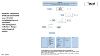 Algoritme pengobatan
dari LUTS complicated
yang refrakter
terhadap tatalaksana
konservatif/
farmakologis atau
pada kasus dengan
indikasi operasi
absolut
Terapi
EAU, 2020
 