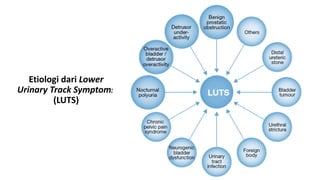 Etiologi dari Lower
Urinary Track Symptoms
(LUTS)
 