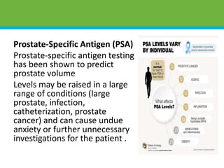Prostate-Specific Antigen (PSA)
Prostate-specific antigen testing
has been shown to predict
prostate volume
Levels may be raised in a large
range of conditions (large
prostate, infection,
catheterization, prostate
cancer) and can cause undue
anxiety or further unnecessary
investigations for the patient .
 