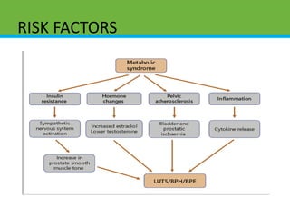 RISK FACTORS
 