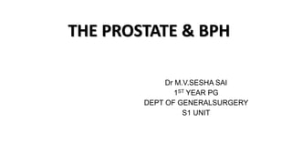 THE PROSTATE & BPH
Dr M.V.SESHA SAI
1ST YEAR PG
DEPT OF GENERALSURGERY
S1 UNIT
 