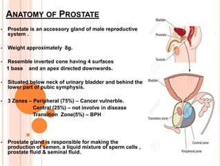 Benign Prostatic Hyperplasia by Dr Ravi Meena | PPT