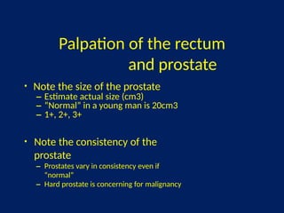 Comprehensive Overview of Benign Prostate Hyperplasia: Anatomy ...