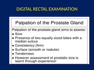 Comprehensive Overview of Benign Prostate Hyperplasia: Anatomy ...