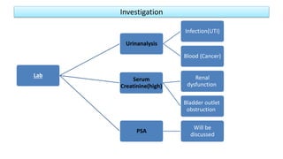 Investigation
Lab
Urinanalysis
Infection(UTI)
Blood (Cancer)
Serum
Creatinine(high)
Renal
dysfunction
Bladder outlet
obstruction
PSA
Will be
discussed
 