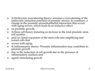  2) Embryonic reawakening theory- assumes a reawakening of the 
embryonic induction potential of prostatic stroma. In sum...