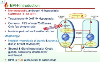 9
BPH-Introduction
 Non-neoplastic, androgen  hyperplasia.
Castration  no BPH
 Testosterone  DHT  Hyperplasia.
 Common, 75% of men 70-80years.
Only few symptomatic.
 Involves periurethral transitional zone.
Morphology:
 Nodular hyperplasia of glands & stroma.
(like in breast, thyroid etc)
 Stromal & Gland hyperplasia. Cystic
glands, secretions, double layer
maintained.
 BPH is NOT a precursor to carcinoma!
 