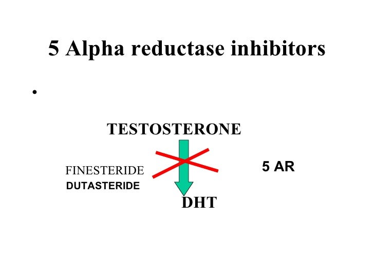Ar Inhibitor Natural Food Ar Inhibitor Natural Food