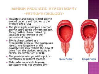 








Prostate gland makes its first growth
around puberty and reaches to the
average size of 20g
The gland again undergoes a second
growth spurt during the fifth decade.
This growth is characterized by
localized proliferation in the
periureteral region.
BPH is characterized as a
hyperplastic process. The hyperplasia
results in enlargement of the
prostate that may restrict the flow of
urine from the bladder, resulting in
clinical manifestations of BPH.
The prostate enlarges with age in a
hormonally dependent manner.
Males who are unable to make
testosterone do not develop BPH.

 