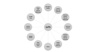 Luts Boo BPH as part of LUTS how the prostate enlargement can cause BOO.pptx