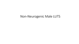 Luts Boo BPH as part of LUTS how the prostate enlargement can cause BOO.pptx