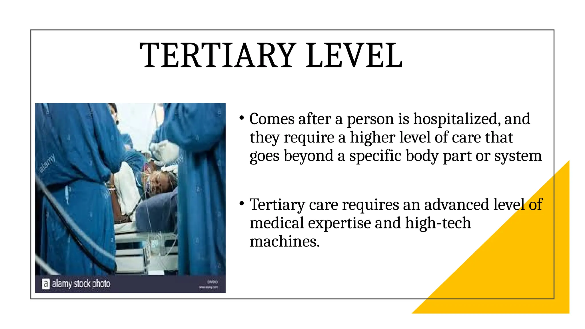 BPHC.306-Primary health and community health care.pptx