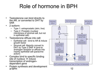 Benign Prostatic Hyperplasia BPH [Dr. Edmond Wong]