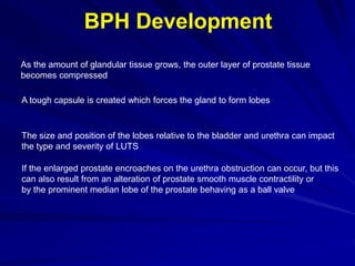 Benign prostatic hyperplasia by Sayed Eleweedy | PPT