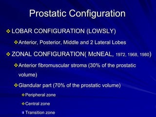 Benign prostatic hyperplasia by Sayed Eleweedy | PPT