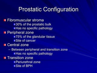 Prostatic Configuration
Fibromuscular stroma
30% of the prostatic bulk
Has no specific pathology
Peripheral zone
75% of th...