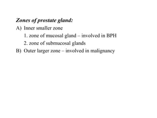 Zones of prostate gland:
A) Inner smaller zone
1. zone of mucosal gland – involved in BPH
2. zone of submucosal glands
B) Outer larger zone – involved in malignancy
 
