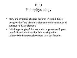 BPH
Pathophysiology
• Slow and insidious changes occur in two main types—
overgrowth of the glandular elements and overgrowth of
connective tissue elements
• Initial hypertrophydetrussor decompensation poor
tonediverticula formationincreasing urine
volumehydronephrosisupper tract dysfunction
 