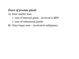 Zones of prostate gland:
A) Inner smaller zone
1. zone of mucosal gland – involved in BPH
2. zone of submucosal glands
B) ...