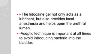  - The lidocaine gel not only acts as a
lubricant, but also provides local
anesthesia and helps open the urethral
lumen.
 -Aseptic technique is important at all times
to avoid introducing bacteria into the
bladder.
 