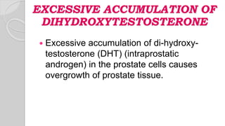 EXCESSIVE ACCUMULATION OF
DIHYDROXYTESTOSTERONE
 Excessive accumulation of di-hydroxy-
testosterone (DHT) (intraprostatic
androgen) in the prostate cells causes
overgrowth of prostate tissue.
 