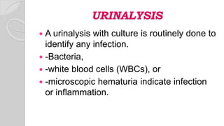 URINALYSIS
 A urinalysis with culture is routinely done to
identify any infection.
 -Bacteria,
 -white blood cells (WBCs), or
 -microscopic hematuria indicate infection
or inflammation.
 