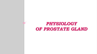 PHYSIOLOGY
OF PROSTATE GLAND
 