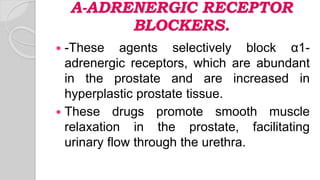 Α-ADRENERGIC RECEPTOR
BLOCKERS.
 -These agents selectively block α1-
adrenergic receptors, which are abundant
in the prostate and are increased in
hyperplastic prostate tissue.
 These drugs promote smooth muscle
relaxation in the prostate, facilitating
urinary flow through the urethra.
 