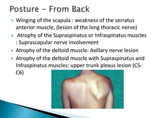  Winging of the scapula : weakness of the serratus
anterior muscle, (lesion of the long thoracic nerve)
 Atrophy of the Supraspinatus or Infraspinatus muscles
: Suprascapular nerve involvement
 Atrophy of the deltoid muscle: Axillary nerve lesion
 Atrophy of the deltoid muscle with Supraspinatus and
Infraspinatus muscles: upper trunk plexus lesion (C5-
C6)
 