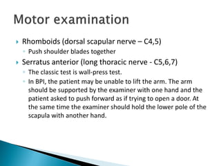  Rhomboids (dorsal scapular nerve – C4,5)
◦ Push shoulder blades together
 Serratus anterior (long thoracic nerve - C5,6,7)
◦ The classic test is wall-press test.
◦ In BPI, the patient may be unable to lift the arm. The arm
should be supported by the examiner with one hand and the
patient asked to push forward as if trying to open a door. At
the same time the examiner should hold the lower pole of the
scapula with another hand.
 