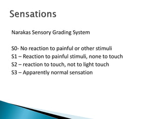 Narakas Sensory Grading System
S0- No reaction to painful or other stimuli
S1 – Reaction to painful stimuli, none to touch
S2 – reaction to touch, not to light touch
S3 – Apparently normal sensation
 