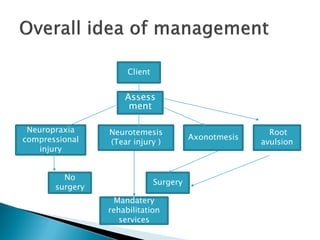 Client
Neuropraxia
compressional
injury
Neurotemesis
(Tear injury )
Assess
ment
Axonotmesis
Root
avulsion
No
surgery
Surgery
Mandatery
rehabilitation
services
 