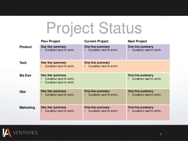 investor report template