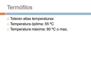 Termófilos
 Toleran altas temperaturas
 Temperatura óptima: 55 ºC
 Temperatura máxima: 80 ºC o mas.
 