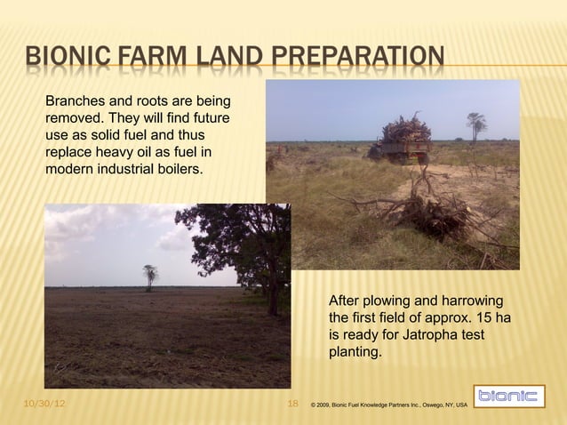 Bionic Palm Ltd. Ghana, Sustainable oil & food farming | PPT