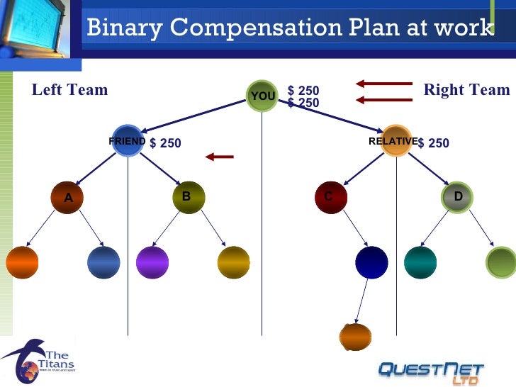 Qi group of companies review picture