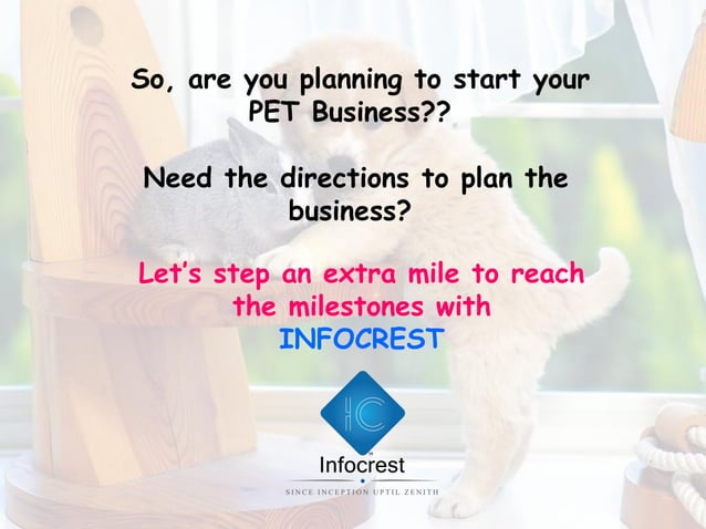 How to Draft a Pet Grooming Business Plan + Free Template