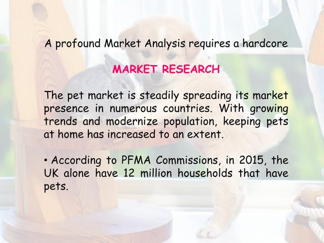 PDFPet Grooming Business Plan Business Plan Example - Upmetrics
