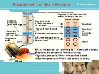 BP Lec for Vital Signs 2 lab.ppt