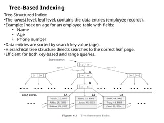 B plus trees in Database Management Systems.pptx