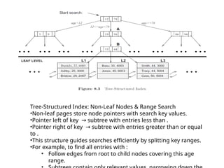 B plus trees in Database Management Systems.pptx