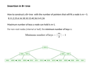 B plus trees in Database Management Systems.pptx
