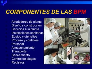 COMPONENTES DE LAS BPM
1.    Alrededores de planta
2.    Diseño y construcción
3.    Servicios a la planta
4.    Instalaciones sanitarias
5.    Equipo y utensilios
6.    Proceso y controles
7.    Personal
8.    Almacenamiento
9.    Transporte
10.   Saneamiento
11.   Control de plagas
12.   Registros
 