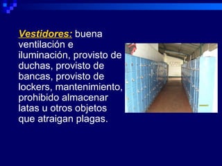 Vestidores: buena
ventilación e
iluminación, provisto de
duchas, provisto de
bancas, provisto de
lockers, mantenimiento,
prohibido almacenar
latas u otros objetos
que atraigan plagas.
 