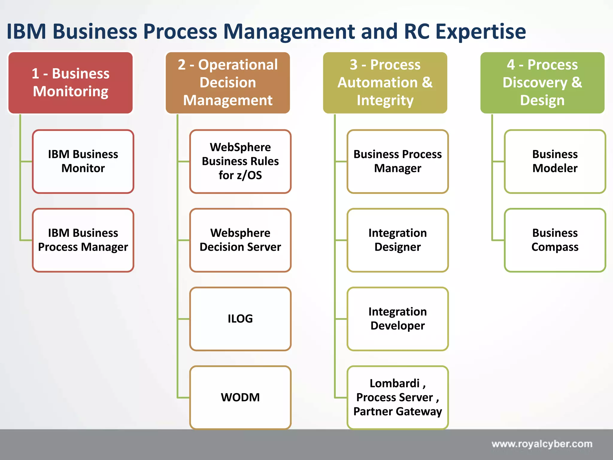 IBM Business Process Management | PDF