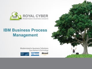 IBM Business Process
    Management
 